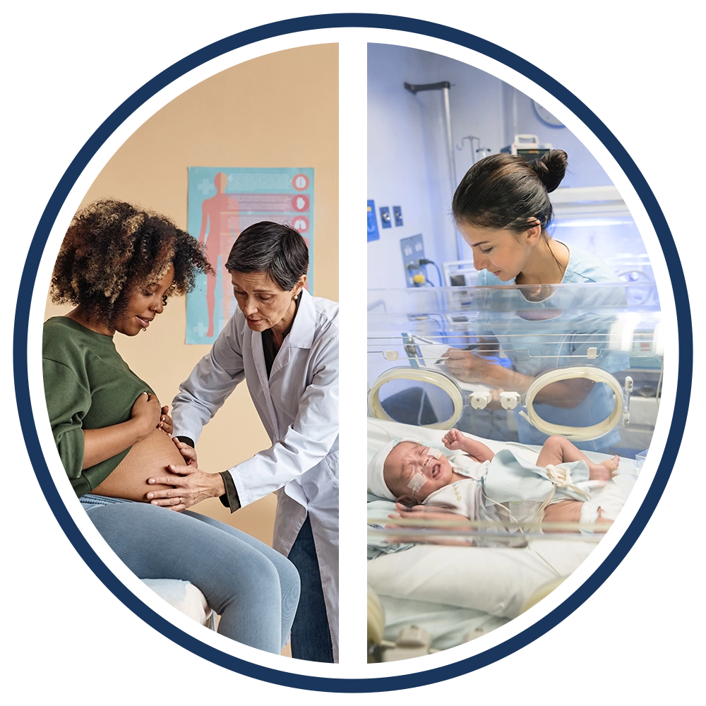 Provider Maternity and NICU Program Resources